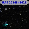 IRAS 22143+6023