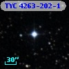TYC 4263-202-1