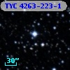 TYC 4263-223-1