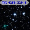 TYC 4263-229-1