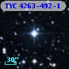 TYC 4263-492-1