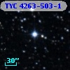 TYC 4263-503-1
