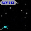 NSV   313