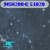 [MSH2004] 51020