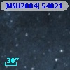 [MSH2004] 54021