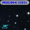 [MSH2004] 55031