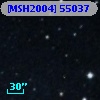 [MSH2004] 55037