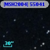 [MSH2004] 55041