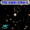 TYC 3169-1784-1