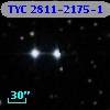 TYC 2811-2175-1