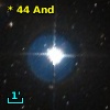 *  44 And