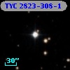 TYC 2823-308-1