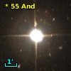 *  55 And