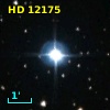HD  12175