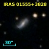 IRAS 01555+3828