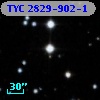 TYC 2829-902-1