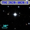 TYC 2829-1028-1