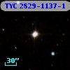 TYC 2829-1137-1