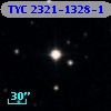 TYC 2321-1328-1