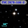 TYC 2829-116-1