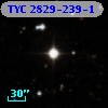 TYC 2829-239-1