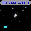 TYC 2829-1299-1