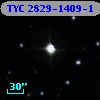 TYC 2829-1409-1
