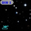 DSW  1