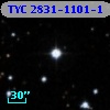 TYC 2831-1101-1