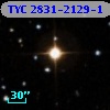 TYC 2831-2129-1
