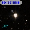 BD+37   558B