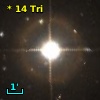 *  14 Tri