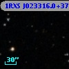 1RXS J023316.0+375600