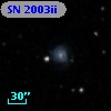 SN 2003ii