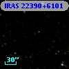IRAS 22390+6101