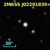 2MASS J02291839+3659248