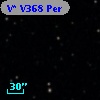V* V368 Per