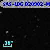 SAS-LBG B20902-MD31