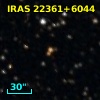 IRAS 22361+6044