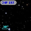 24P 197
