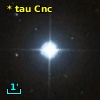 * tau Cnc