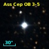 Ass Cep OB   3-5