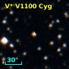 V* V1100 Cyg