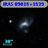 IRAS 09018+1839