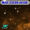 IRAS 23118+6116