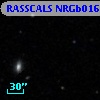 RASSCALS NRGb016