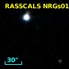 RASSCALS NRGs015