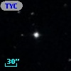 TYC  815-221-1
