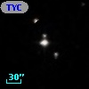 TYC  812-207-1