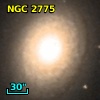 NGC  2775